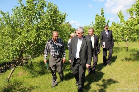 ����������� ������� ��� �������